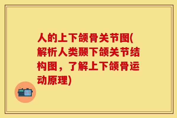 人的上下颌骨关节图(解析人类颞下颌关节结构图，了解上下颌骨运动原理)