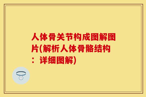 人体骨关节构成图解图片(解析人体骨骼结构：详细图解)