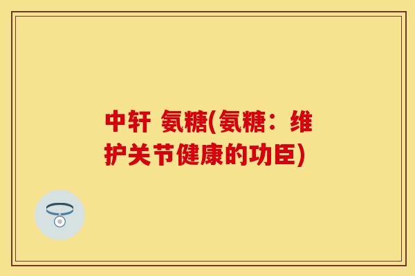 中轩 氨糖(氨糖：维护关节健康的功臣)