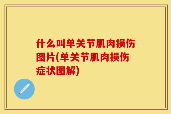 什么叫单关节肌肉损伤图片(单关节肌肉损伤症状图解)