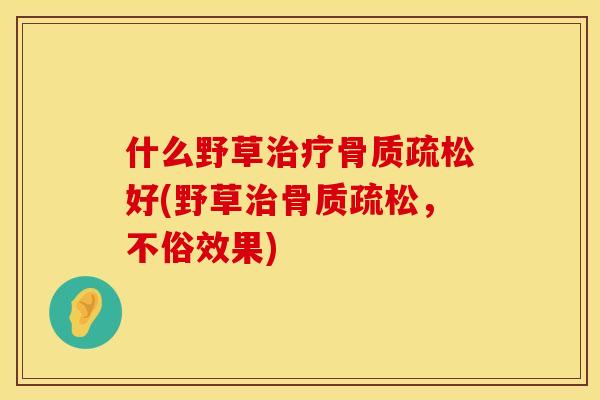 什么野草治疗骨质疏松好(野草治骨质疏松，不俗效果)