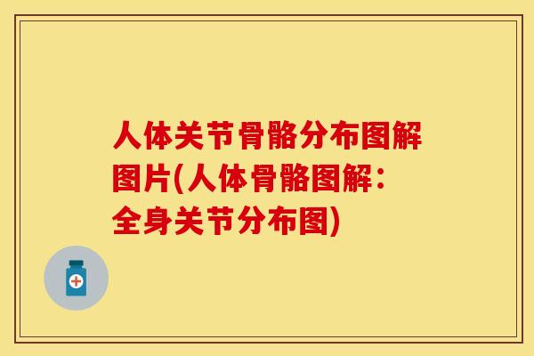 人体关节骨骼分布图解图片(人体骨骼图解：全身关节分布图)