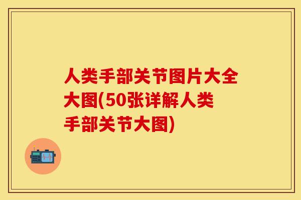人类手部关节图片大全大图(50张详解人类手部关节大图)