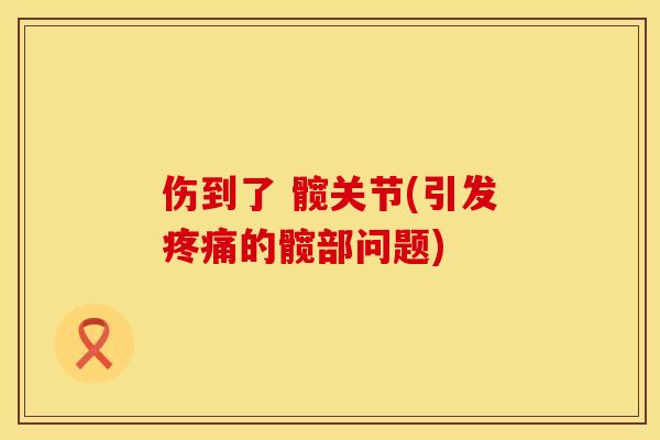 伤到了 髋关节(引发疼痛的髋部问题)