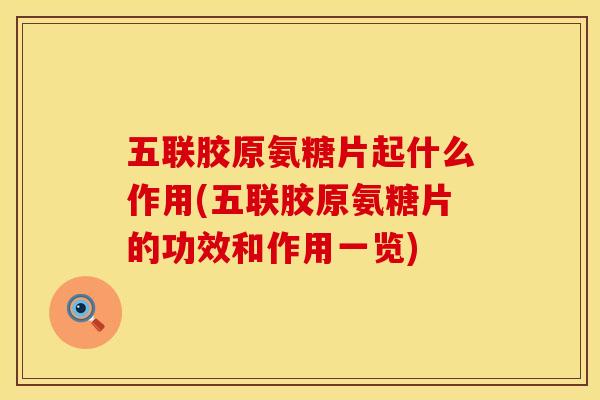 五联胶原氨糖片起什么作用(五联胶原氨糖片的功效和作用一览) 五联胶原氨糖片起什么作用(五联胶原氨糖片的功效和作用一览)