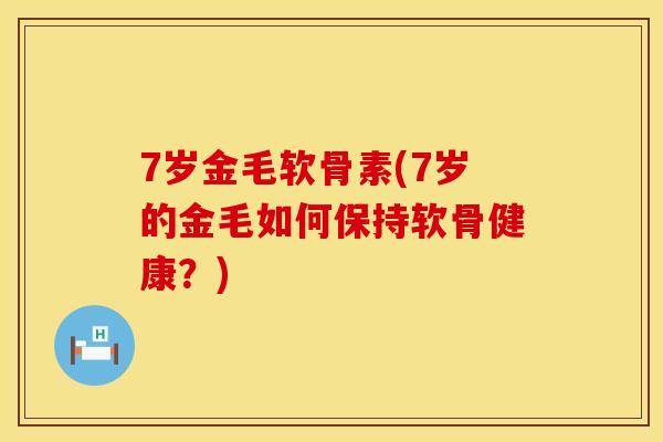 7岁金毛软骨素(7岁的金毛如何保持软骨健康？)