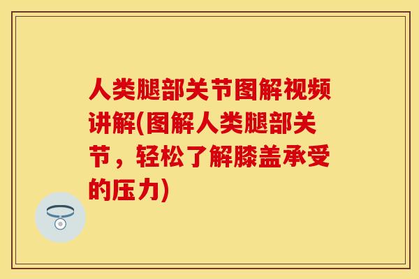 人类腿部关节图解视频讲解(图解人类腿部关节，轻松了解膝盖承受的压力)