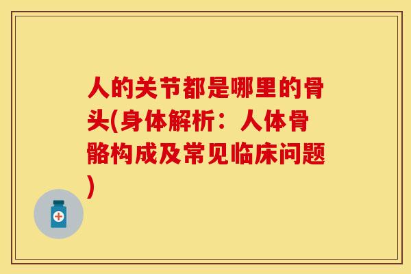 人的关节都是哪里的骨头(身体解析：人体骨骼构成及常见临床问题)