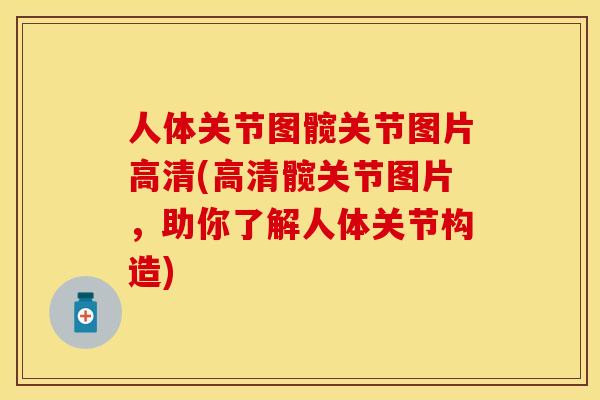 人体关节图髋关节图片高清(高清髋关节图片，助你了解人体关节构造)