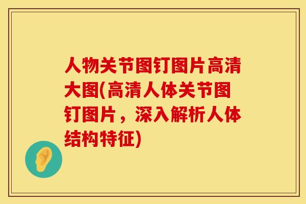 人物关节图钉图片高清大图(高清人体关节图钉图片，深入解析人体结构特征)