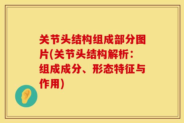 关节头结构组成部分图片(关节头结构解析:组成成分、形态特征与作用) 关节头结构组成部分图片(关节头结构解析:组成成分、形态特征与作用)