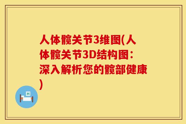 人体髋关节3维图(人体髋关节3D结构图：深入解析您的髋部健康)