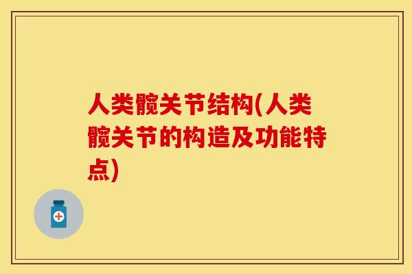 人类髋关节结构(人类髋关节的构造及功能特点)