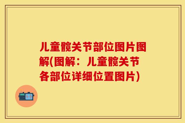儿童髋关节部位图片图解(图解：儿童髋关节各部位详细位置图片)