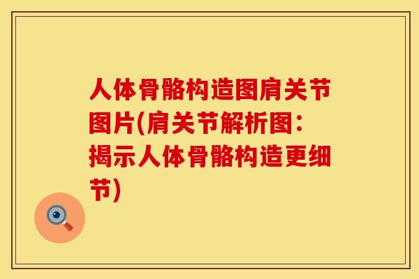 人体骨骼构造图肩关节图片(肩关节解析图：揭示人体骨骼构造更细节)