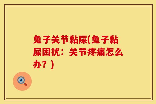 兔子关节黏屎(兔子黏屎困扰：关节疼痛怎么办？)