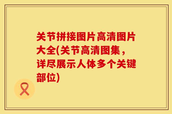 关节拼接图片高清图片大全(关节高清图集，详尽展示人体多个关键部位)