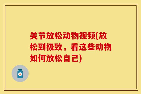 关节放松动物视频(放松到极致，看这些动物如何放松自己)