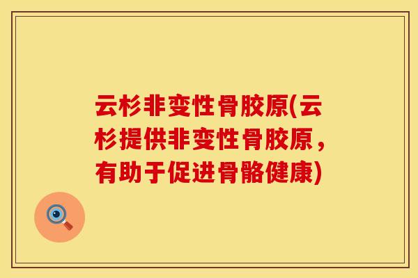 云杉非变性骨胶原(云杉提供非变性骨胶原，有助于促进骨骼健康)