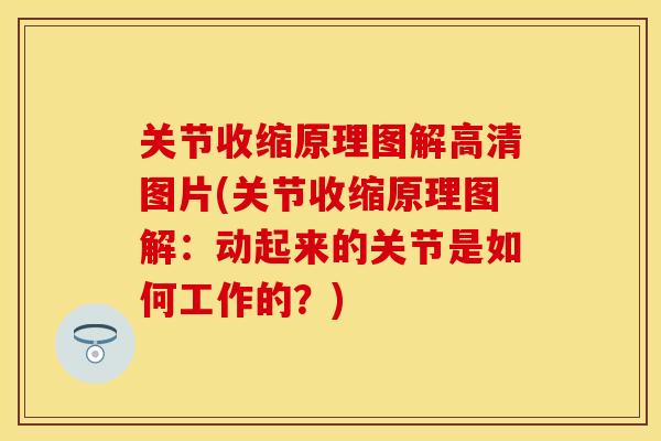 关节收缩原理图解高清图片(关节收缩原理图解：动起来的关节是如何工作的？)