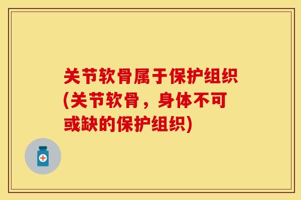 关节软骨属于保护组织(关节软骨，身体不可或缺的保护组织)