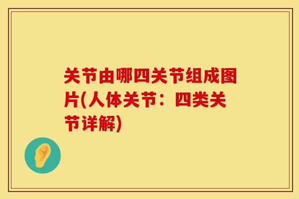 关节由哪四关节组成图片(人体关节：四类关节详解)