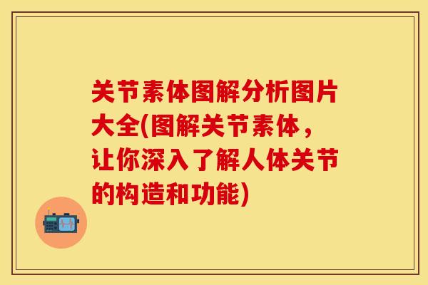 关节素体图解分析图片大全(图解关节素体，让你深入了解人体关节的构造和功能)