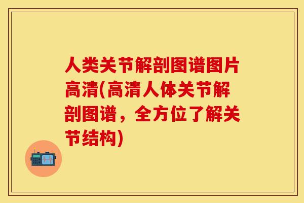 人类关节解剖图谱图片高清(高清人体关节解剖图谱,全方位了解关节结构) 人类关节解剖图谱图片高清(高清人体关节解剖图谱,全方位了解关节结构)