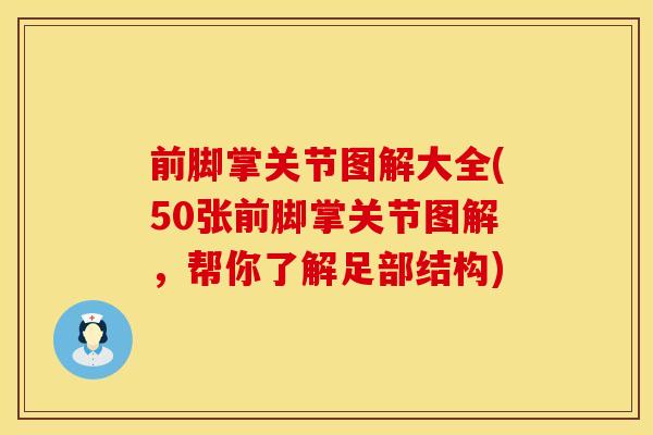 前脚掌关节图解大全(50张前脚掌关节图解，帮你了解足部结构)