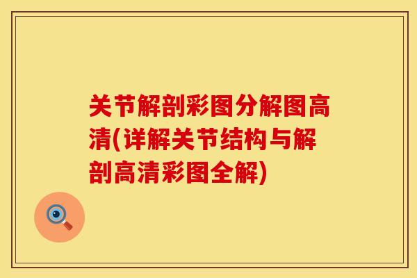 关节解剖彩图分解图高清(详解关节结构与解剖高清彩图全解)