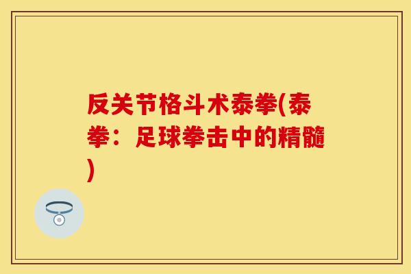 反关节格斗术泰拳(泰拳：足球拳击中的精髓)