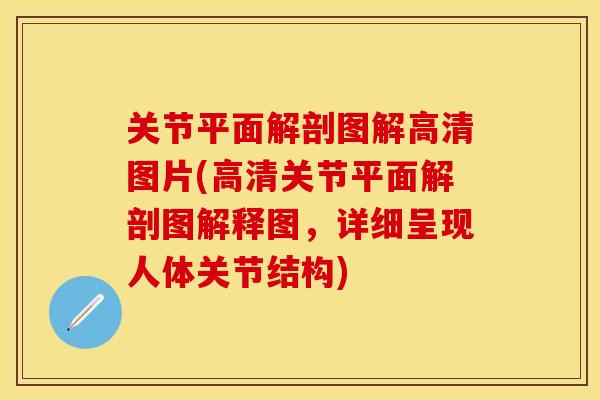 关节平面解剖图解高清图片(高清关节平面解剖图解释图，详细呈现人体关节结构)