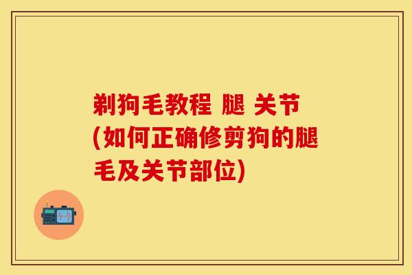 剃狗毛教程 腿 关节(如何正确修剪狗的腿毛及关节部位)