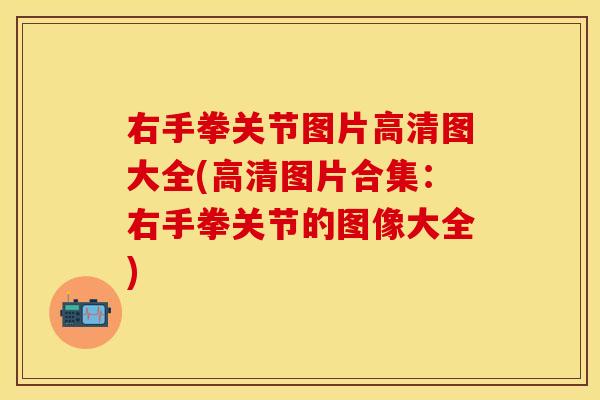右手拳关节图片高清图大全(高清图片合集：右手拳关节的图像大全)