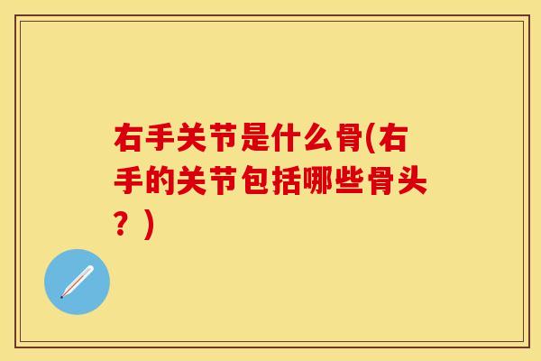 右手关节是什么骨(右手的关节包括哪些骨头？)