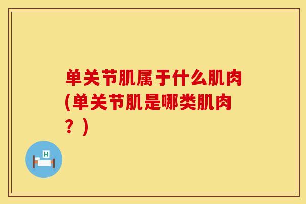 单关节肌属于什么肌肉(单关节肌是哪类肌肉？)