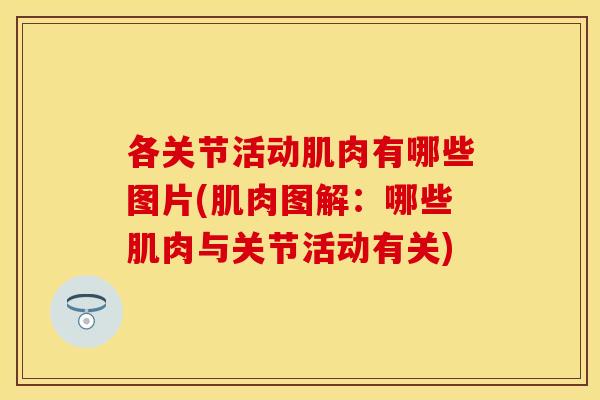 各关节活动肌肉有哪些图片(肌肉图解：哪些肌肉与关节活动有关)