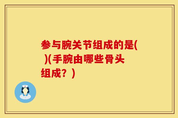 参与腕关节组成的是( )(手腕由哪些骨头组成？)