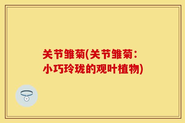关节雏菊(关节雏菊：小巧玲珑的观叶植物)