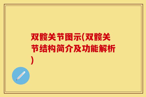 双髋关节图示(双髋关节结构简介及功能解析)
