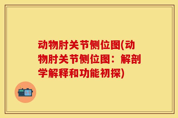 动物肘关节侧位图(动物肘关节侧位图：解剖学解释和功能初探)
