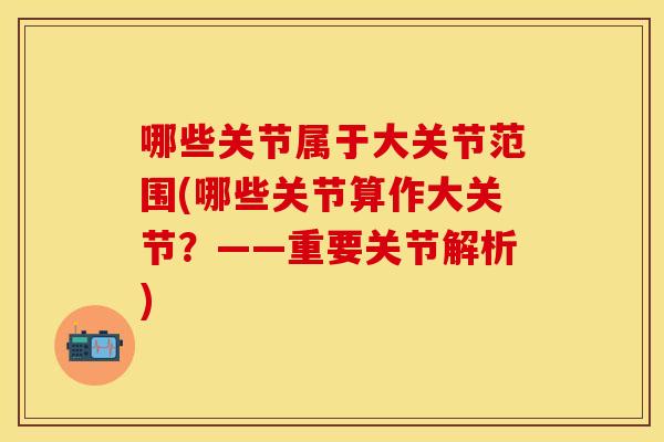 哪些关节属于大关节范围(哪些关节算作大关节？——重要关节解析)