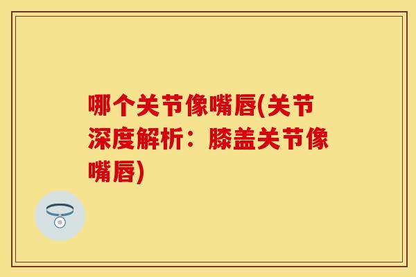 哪个关节像嘴唇(关节深度解析：膝盖关节像嘴唇)