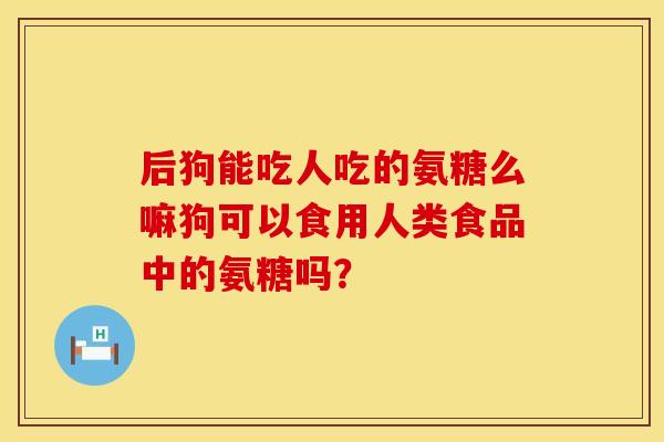 后狗能吃人吃的氨糖么嘛狗可以食用人类食品中的氨糖吗？