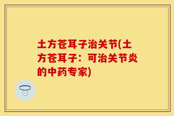 土方苍耳子治关节(土方苍耳子：可治关节炎的中药专家)
