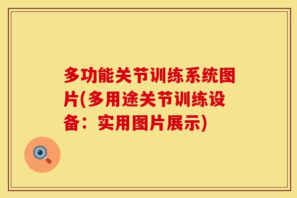 多功能关节训练系统图片(多用途关节训练设备:实用图片展示)