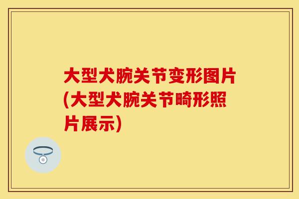 大型犬腕关节变形图片(大型犬腕关节畸形照片展示)