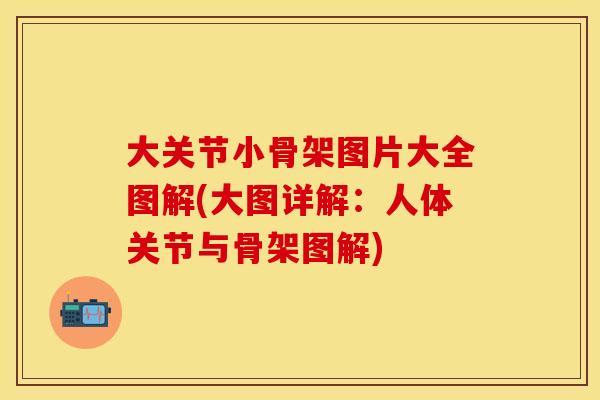 大关节小骨架图片大全图解(大图详解：人体关节与骨架图解)
