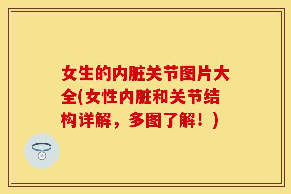 女生的内脏关节图片大全(女性内脏和关节结构详解，多图了解！)