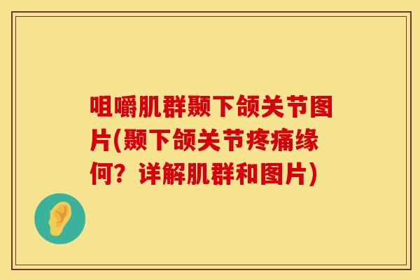 咀嚼肌群颞下颌关节图片(颞下颌关节疼痛缘何？详解肌群和图片)